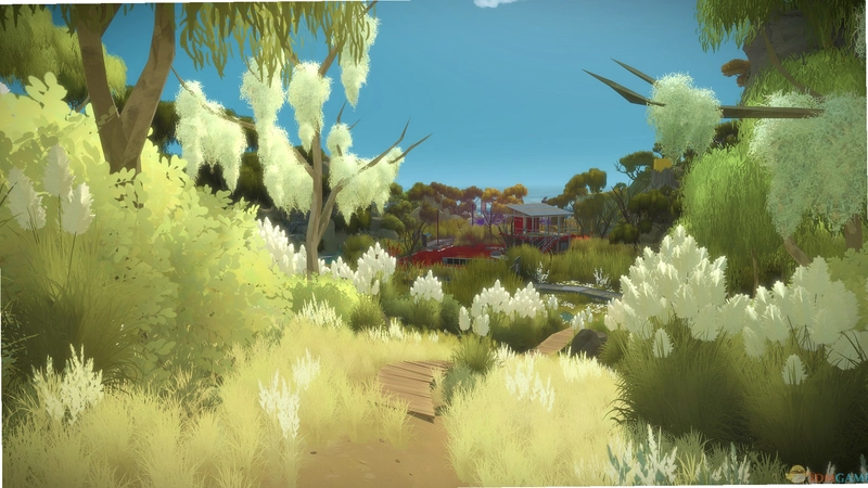 ��֤�� The Witness2026������
