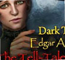 �ڰ���˵8��������֮й�ܵ��� ���ĵ�ذ� Dark Tales 8��ذ�