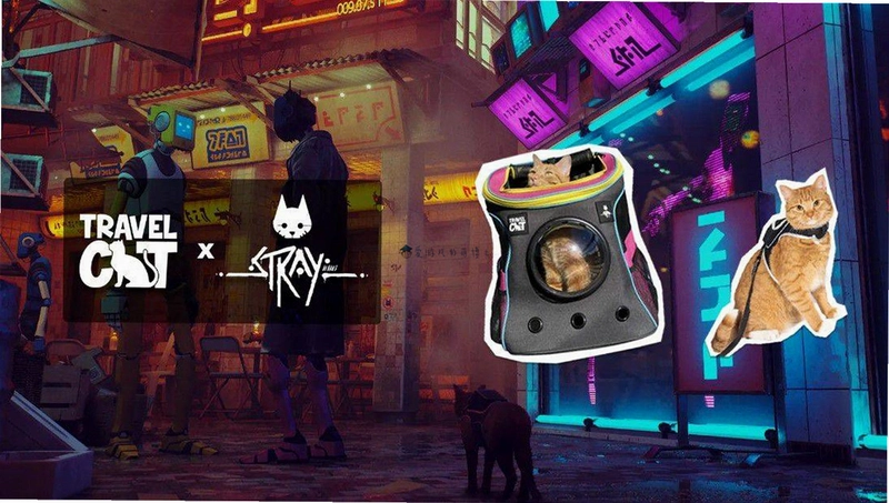 ����è�Ĵ�Խ Stray Cat Crossing1.0.2 �����ƽ��