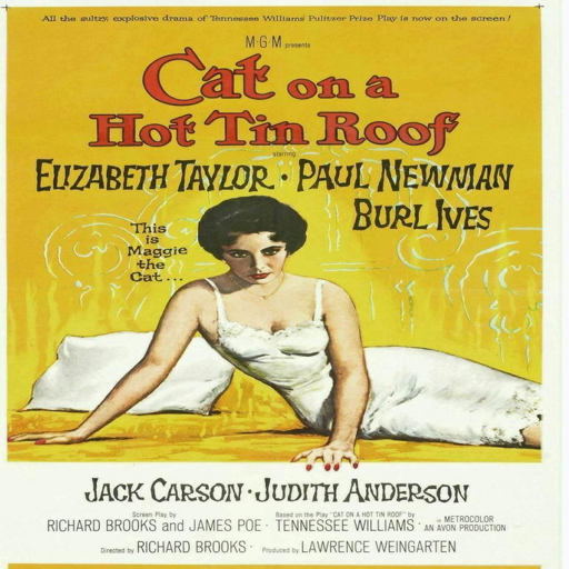 ����Ƥ�ݶ�����ñ�ӵ�è Hot Tin Roof: The Cat That Wore A Fedora1.0 �����ƽ��