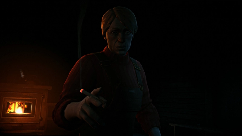 ������ҹ The Long Dark2026 ���հ�
