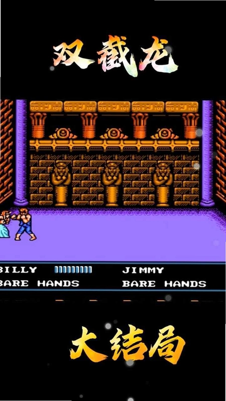 ˫���������� Double Dragon Trilogy2026 ����Ӳ�̰�