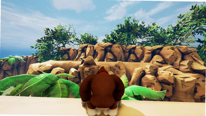 ������� Donkey Kong2026 ���仳�ɰ�