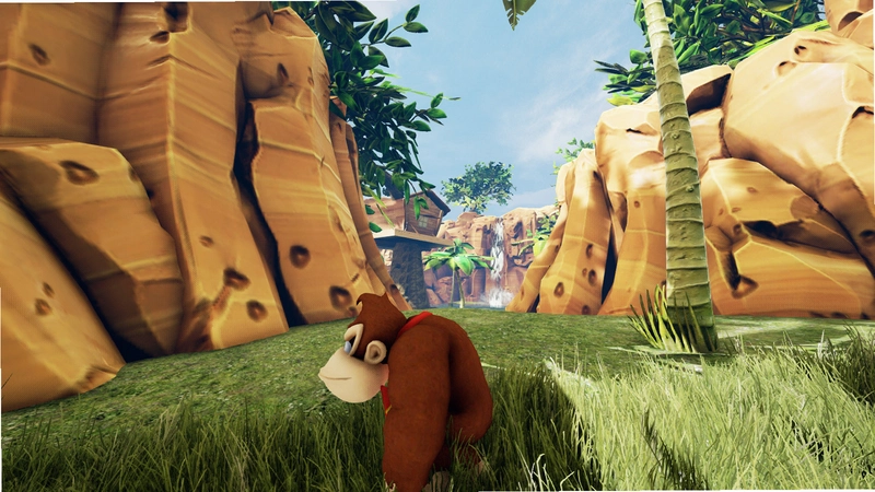 ������� Donkey Kong2026 ���仳�ɰ�