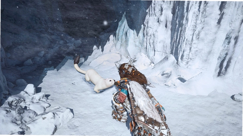 ����ð�� Arctic Adventure2026 ��ʽ��
