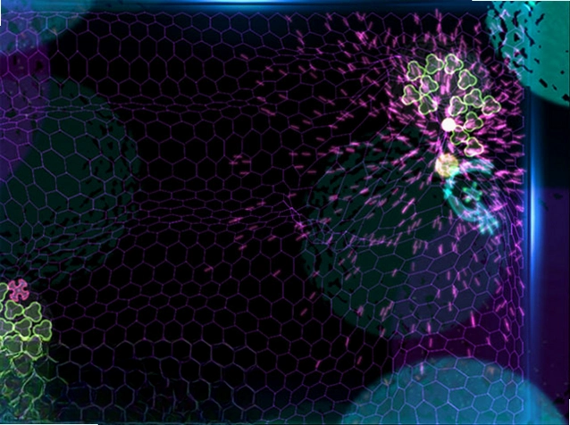 ����3:������ Sentience 32026 ���������»���