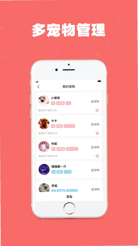 宠物王国:光辉之城 Pet Kingdom: Radiant City2026 官方正式版 宠物王国:光辉之城 Pet Kingdom: Radiant City2026 官方正式版