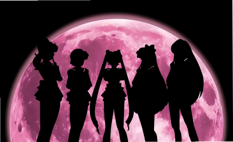 ����Ůսʿ:������˵ Sailor Moon: Moon Legend2026 ����Ӳ�̰�