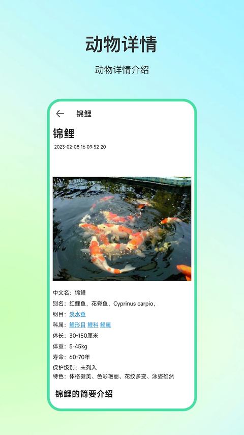 ����ٿ��������°�v34.1.8 ��׿��