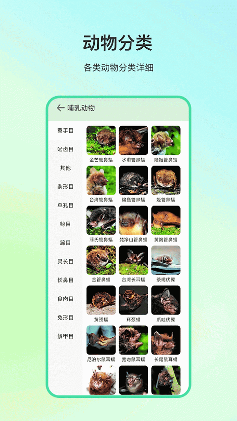 ����ٿ��������°�v34.1.8 ��׿��