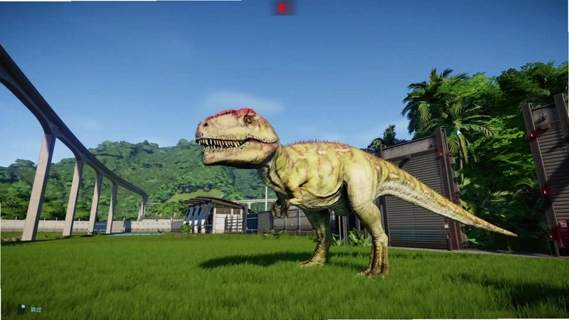 �� Dragon2026 ��ʽ��