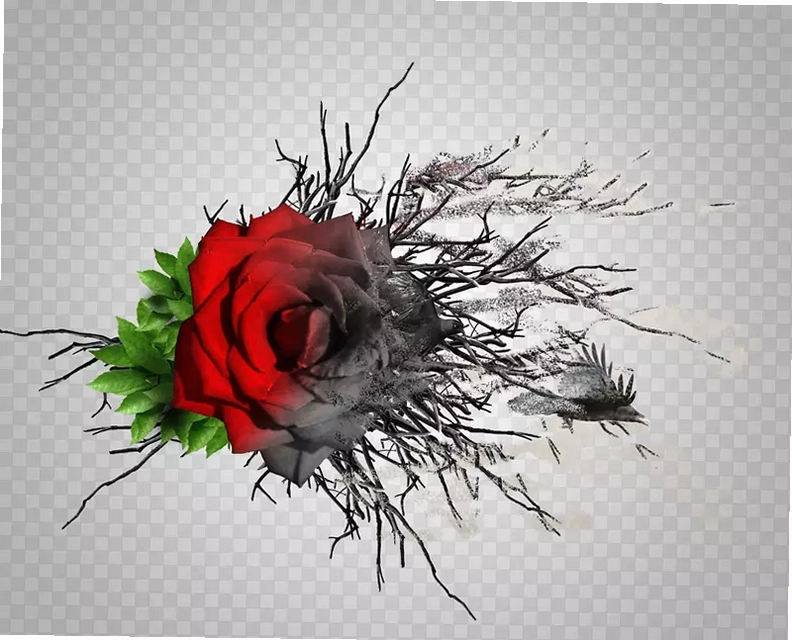 ��е�õ�� Withered Rose2026 ����Ӳ�̰�
