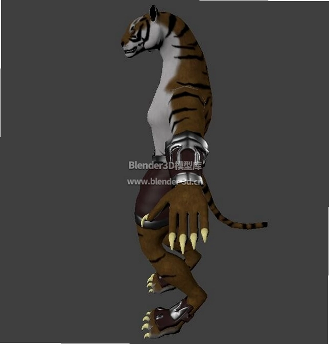 ���� Tiger Man2026 �ٷ����԰�