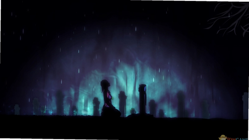 ˫��ƿ Amphora2026 �ٷ���ʽ��