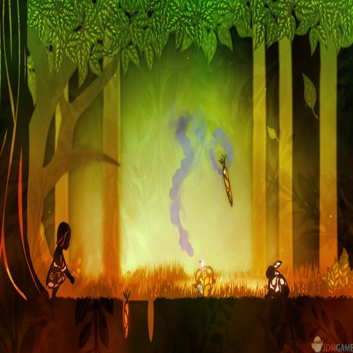 ˫��ƿ Amphora2026 �ٷ���ʽ��