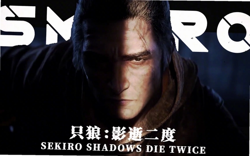弹幕狼影 Danmu Wolf Shadow1.2.0 官方最新版 弹幕狼影 Danmu Wolf Shadow1.2.0 官方最新版