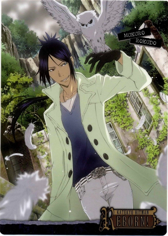 ��ͥ��ʦreborn ��ͥ��ʦHitman Reborn2026 ���İ�