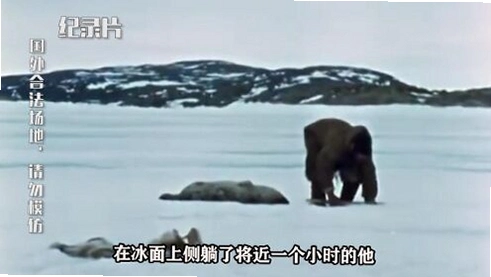 ��Ŧ������ Inuit Hunter1.0.0 ���԰�