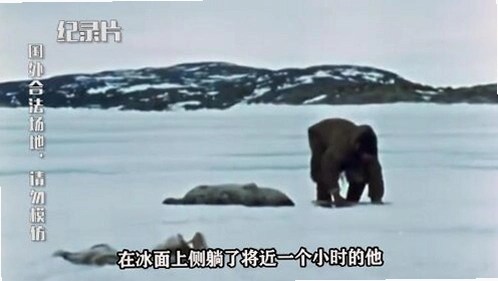 ��Ŧ������ Inuit Hunter2026 ���԰�