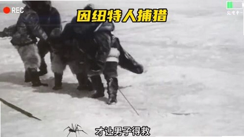 ��Ŧ������ Inuit Hunter2026 ���԰�