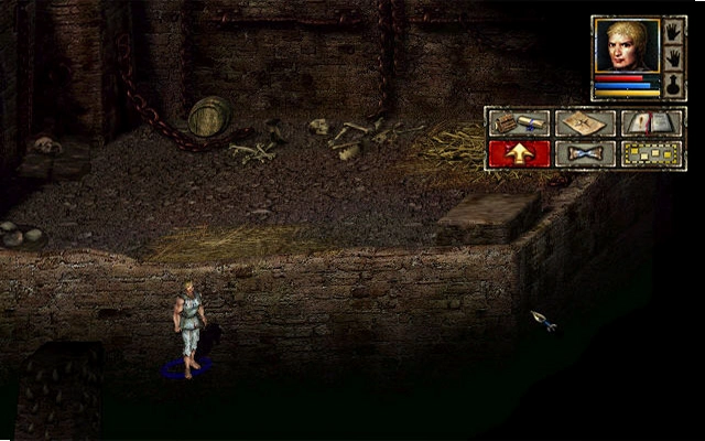 ��Խ��� Divine Divinity���İ� 2026 ���ϰ�