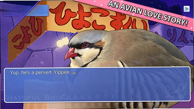 �������� Pigeon Boyfriend2026 ���°�