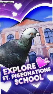 �������� Pigeon Boyfriend2026 ���°�