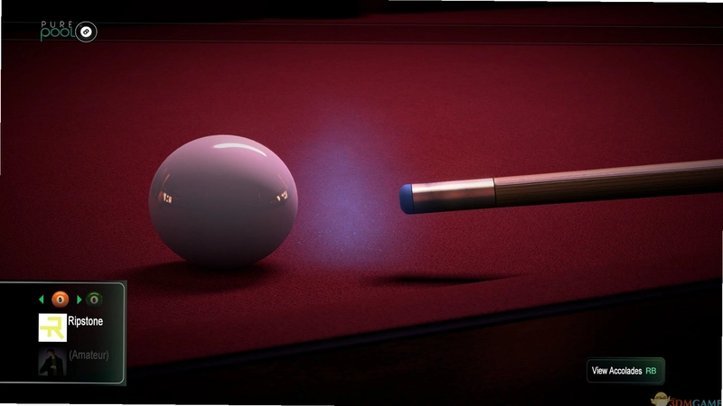 ����̨�� Pure Billiards2026 �ٷ����°�