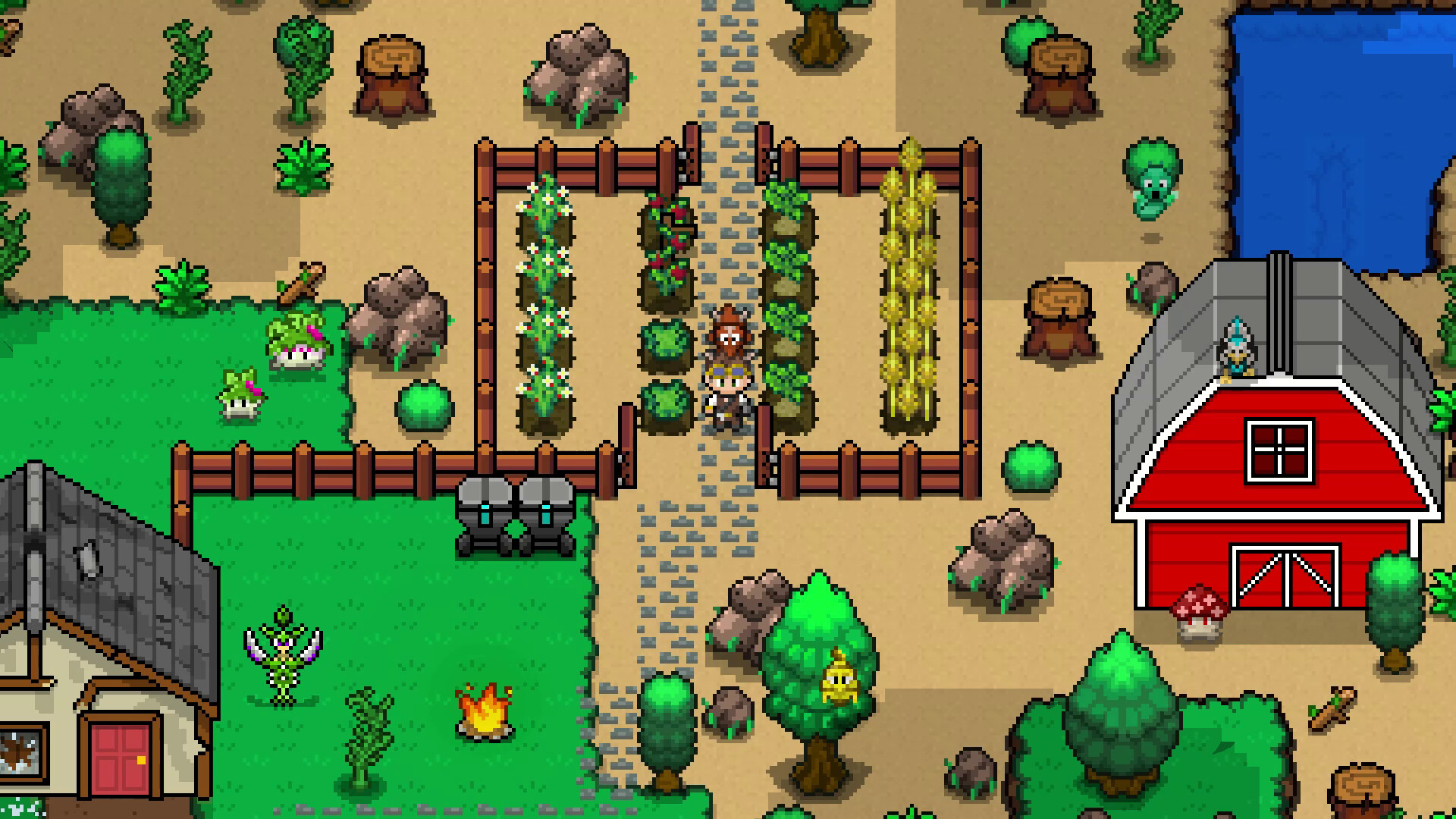 �����ɹ���ũ���ֻ���(ChronoMon) ũ������ ʳ����� ��������