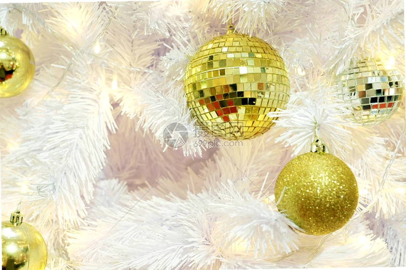 ��ɫʥ�� Golden Christmas2026 ���°�
