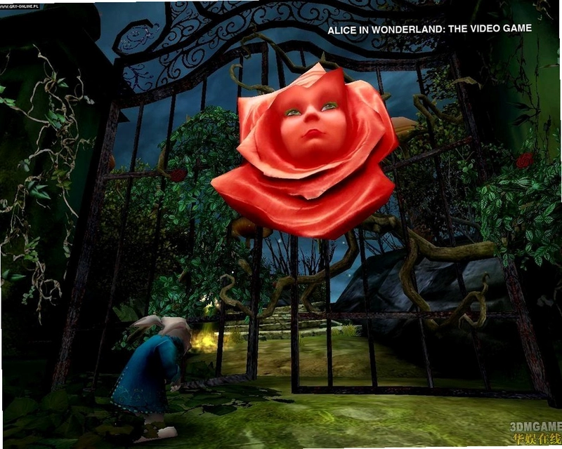 ����˿���ξ�Alices Dream2026 ���ĺ�����