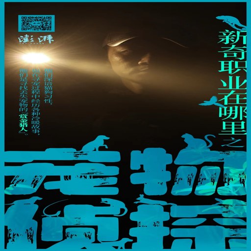 ������̽ Pet Detective2026 ���°�