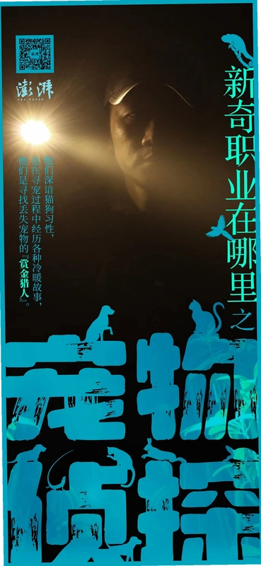 ������̽ Pet Detective2026 ���°�