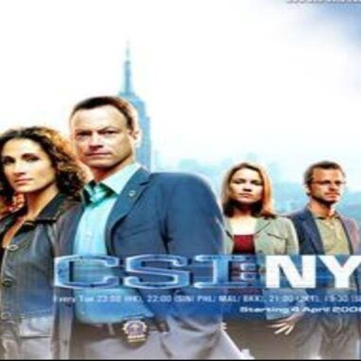 �����ֳ���֤:ŦԼƪ ���ĵ�ذ� CSI: NY��ذ�