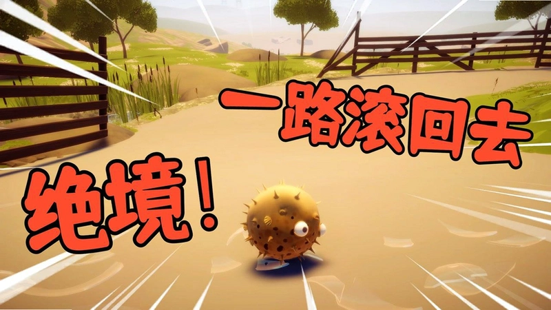 ������֮�� Tetra Fish Journey1.2.0 2026 ����������Ϸ