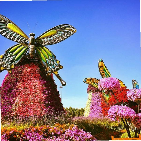 奇迹花园 Miracle Garden2026 最新版 奇迹花园 Miracle Garden2026 最新版