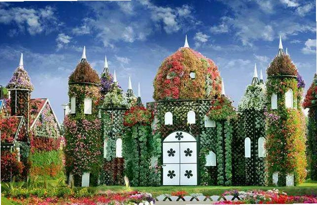 奇迹花园 Miracle Garden2026 最新版 奇迹花园 Miracle Garden2026 最新版
