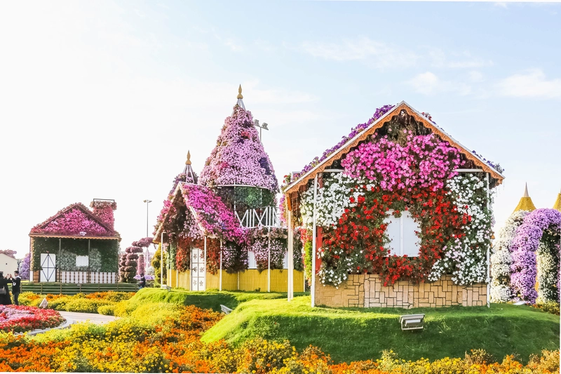 奇迹花园 Miracle Garden2026 最新版 奇迹花园 Miracle Garden2026 最新版