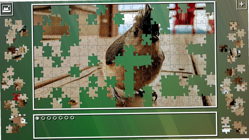 ����ƴͼ Jigsaw Puzzle2026������