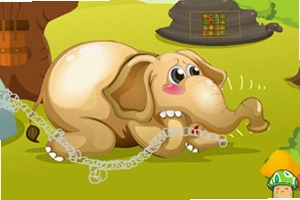 Ѱ��С��2.1.0 �ٷ����°�