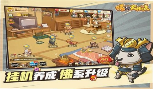 è������ս CatDog Battle2026 ����Ӳ�̰�