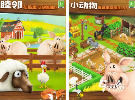 ����С�� Pet Chicken2026 �ٷ���ʽ��