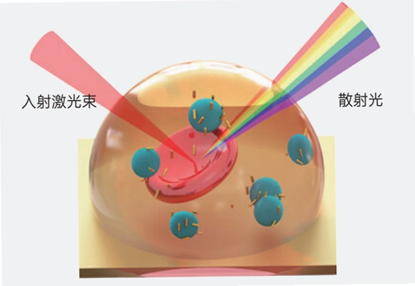 ���׹��� Nano Photon2026 ���İ�