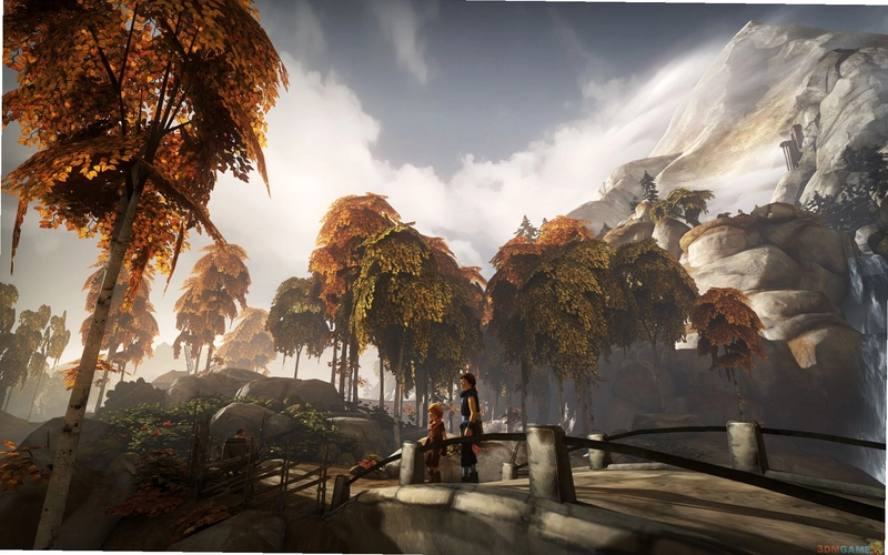 �ֵܣ�˫�Ӵ�˵ Brothers: A Tale of Two Sons2026 ���İ�