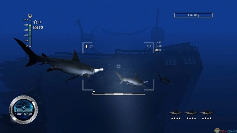 �������� Island Reef Snapshot2026 �ٷ���