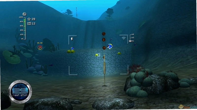�������� Island Reef Snapshot2026 �ٷ���