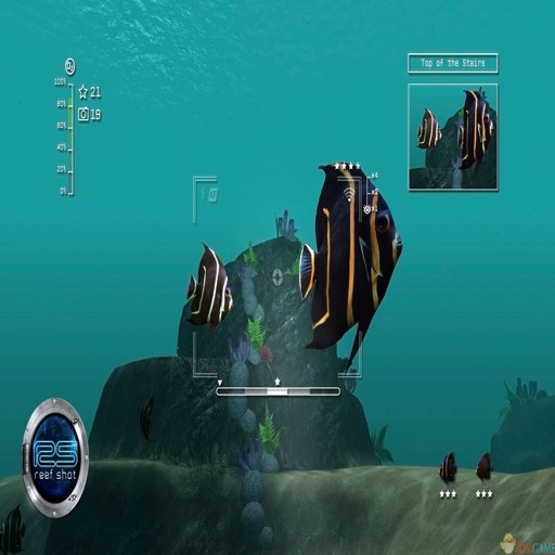 �������� Island Reef Snapshot2026 �ٷ���