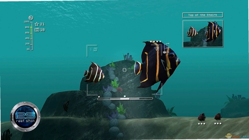 �������� Island Reef Snapshot2026 �ٷ���