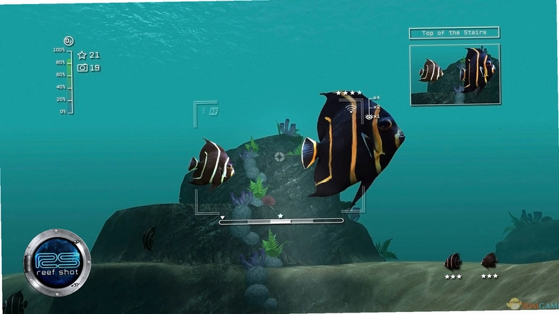 �������� Island Reef Snap1.2.0 �ٷ���