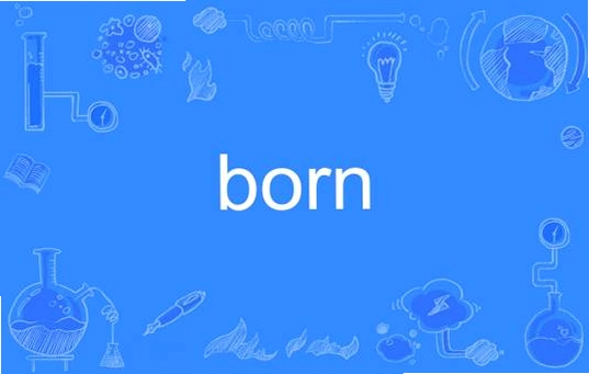 Vector Born ��������1.0.2 ð�ս�����Ϸ